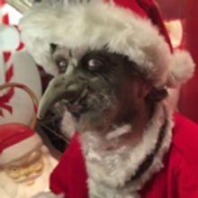 SANTASTICAL Opens 12/17 in NYC