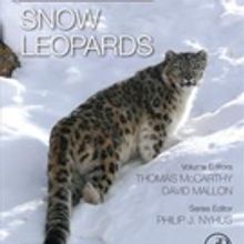 New Book in Series, SNOW LEOPARDS, is Released