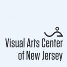 Visual Arts Center of New Jersey's 'NIGHT OF WONDER' Raises $180K