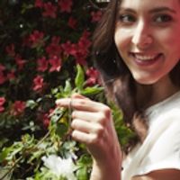 BWW Review: AS YOU LIKE IT, The Savill Garden Open Air Theatre, June 24 2016 Photo