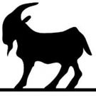 Goat in the Road Brings NUMB to New York