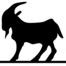 Goat in the Road Brings NUMB to New York