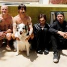 Red Hot Chili Peppers Release New Music Video for 'Goodbye Angels'