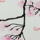 Berkshire Opera Festival Launches with MADAMA BUTTERFLY