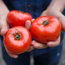 Savor The Flavors Of The Summer Season With Tips And Recipes From Aramark And The Ame