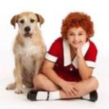 Review: ANNIE, 'A Hard Knock Life' is in Charlotte's Belk Theater