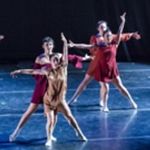 BWW Review: PERIAPSIS OPEN SERIES