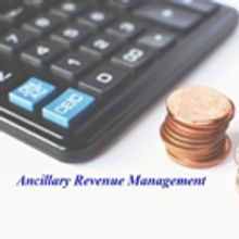 Increasing Developments in Ancillary Revenue Management Solutions will lead to Excess