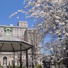 SAKURA SWEETHEARTS Celebrates Love Through the Seasons at International House