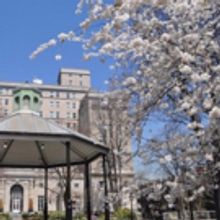 SAKURA SWEETHEARTS Celebrates Love Through the Seasons at International House
