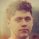 Niall Horan Releases New Single 'Slow Hands'