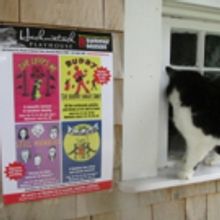 Hackmatack to Open 45th Anniversary Season with SHE LOVES ME