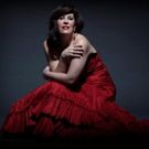 Met Opera Star Sondra Radvanovsky to Perform in Annual Gala at Palm Beach Opera, 2/15