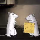 HBO to Present ANIMALS, Featuring Voices of Nick Kroll, Molly Shannon & More, 2/5