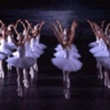 State Ballet Theatre of Russia's SWAN LAKE Coming to Hershey Theatre