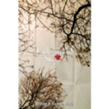 Dr. Contino Opens a Portal to the Dark World of Crimes in UNDERGROUND STORIES Collect