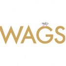 E! Expands Popular 'Wags' Franchise with New Series WAGS ATLANTA