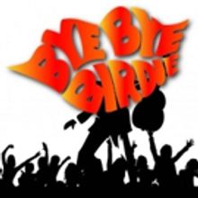 BYE BYE BIRDIE to Open 6/16 at GEM Theatre