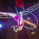 Photo Flash: First Look at DRIFTWOOD by Casus at Underbelly Festival