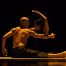 Peggy Baker Dance Projects to Present World Premiere Project, PHASE SPACE, 1/22/16