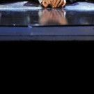 BWW Interview: Lyn Paul, Mrs J in UK Tour Of BLOOD BROTHERS!