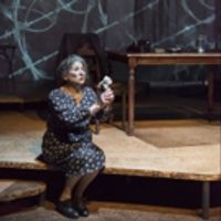 BWW Review: GOLDA'S BALCONY: Midwife at the Birth of the State of Israel Photo