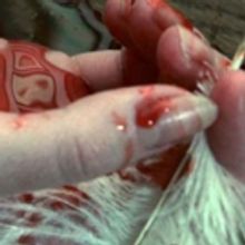 THE KILLING OF CHARLES BRAVO to Play Theatre N16