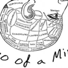 Mental Health on the Brain in TWO OF A MIND at Alchemical Studio Theater