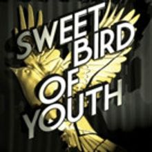 The Gallery Players presents SWEET BIRD OF YOUTH