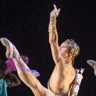 BWW Review: PROJECT POLUNIN, Sadler's Wells