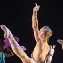 BWW Review: PROJECT POLUNIN, Sadler's Wells