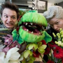 Photo Flash: Meet the Cast of LITTLE SHOP OF HORRORS at Belgrade Theatre