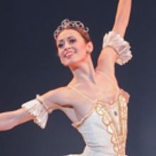 BWW Review: Festival Ballet Spreads Christmas Joy with Marvelous, Magical NUTCRACKER