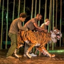 Cast Announced for UK Tour of RUNNING WILD