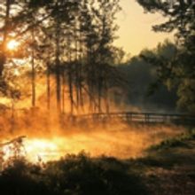 Jewish Community Center to Host Artist's Reception for Photographer Joe Piniewski