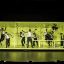 Review Roundup: Hair-Raising THE HAIRY APE Opens Off-Broadway - All the Reviews!