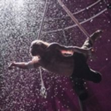 Last Chance To See NoFit State Circus' BIANCO In Southbank Centre