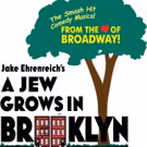 A JEW GROWS IN BROOKLYN 2.O Debuts at Mizner Park Cultural Arts Center