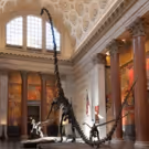 American Museum of National History Presents Summer 2017 Camps