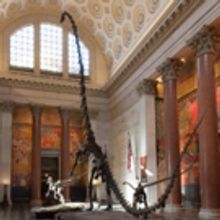 American Museum of National History Presents Summer 2017 Camps