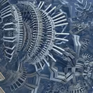 Times Square Presents MATTEO ZAMAGNI'S NATURE ABSTRACTION