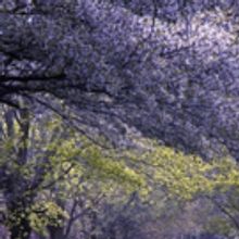 Palm Beach Photographic Centre to Present PHOTOGRAPHY OF PLACE