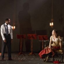 THE CHERRY ORCHARD, Starring Diane Lane, Enters Final Weeks on Broadway