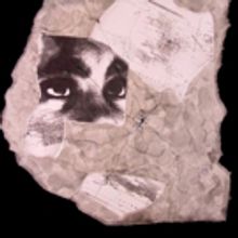 NJPAC Presents WOMEN IN THE WORLD: A VISUAL PERSPECTIVE, 3/1-31