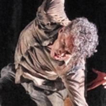 BWW Review: JAMES THIEREE - COMPAGNIE DU HANNETON, THE TOAD KNEW at Sadler's Wells