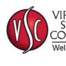 Virginia Stage Company to Launch 'The Line: Art For Social Change'