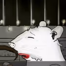 HBO Renews Animated Series ANIMALS for Third Season