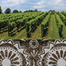 Inspired by Chekhov, World Premiere of Dorothy Fortenberry's SPECIES NATIVE TO CALIFO