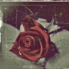 Night Express Live to Present World Premiere of TO BE OR NOT TO BE SCARLETT O'HARA