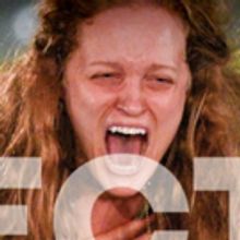 BWW Review: ELECTRA at Dallas Theater Center